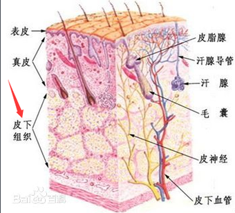 下载 (2).png